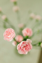 Delicate pink roses and diamond engagement ring close up. Pink carnations. Beautiful flowers, a gift for February 14, Valentine's Day, Mother's Day. Place for text. Mock up.