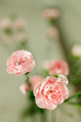 Delicate pink roses and diamond engagement ring close up. Pink carnations. Beautiful flowers, a gift for February 14, Valentine's Day, Mother's Day. Place for text. Mock up.
