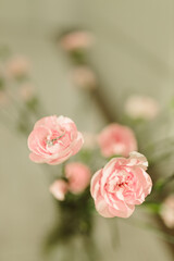 Delicate pink roses and diamond engagement ring close up. Pink carnations. Beautiful flowers, a gift for February 14, Valentine's Day, Mother's Day. Place for text. Mock up.