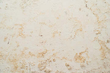 Toxic mold growth. Damp water damaged building. mold in the corner of your bathroom. Water damage building interior. 