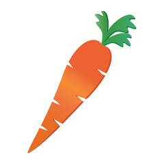 free vector carrot logo template