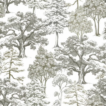 Beautiful seamless pattern with hand drawn forest trees. Stock illustration.