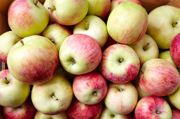 Bunch of organic fresh apples on a market. Overhead view of fresh organic apples. Healthy eating concept