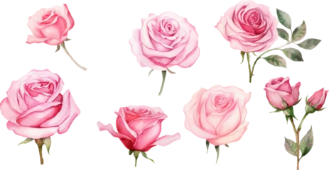 Fotobehang set pink rose flower clipart © wanna