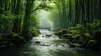 Naklejka premium Bamboo forest background