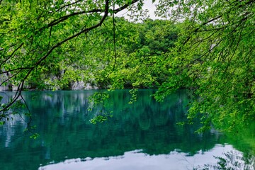 Scenic view of a serene lake surrounded by lush trees and tranquil waters