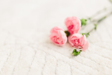 Delicate pink roses and diamond engagement ring on off white fluffy carpet close up. Pink carnations. Beautiful flowers, a gift for February 14, Valentine's Day, Mother's Day. Place for text. Mock up.