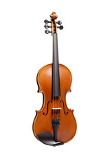 Violin, isolated white background PNG
