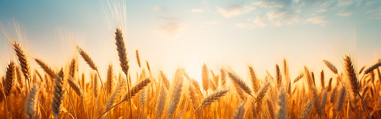 Ears of wheat in a wheat field. Generative AI, - obrazy, fototapety, plakaty