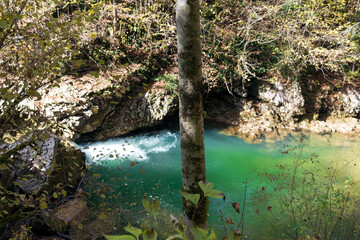 Fast mountain river in an autumn forest landscape
