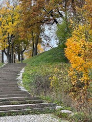 Beautiful autumn in the city garden or park. A cobblestone road and a staircase with stone steps. Hills and ravines with trees and yellow leaves. Wonderful landscape.