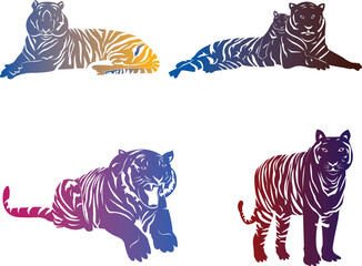 set of tiger vector design