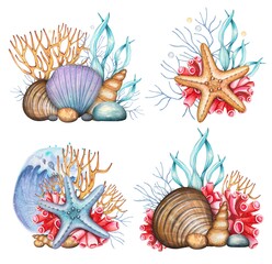 Obraz premium Hand drawn sea compositions with shells, pebbles, corals, algae. Watercolor