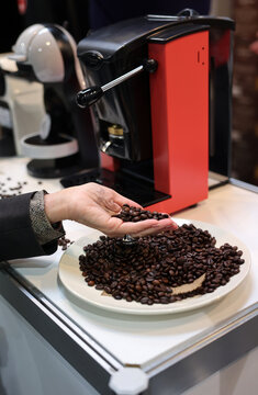 The barista checks the quality of the coffee beans before pouring them into the coffee machine