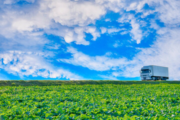 Transportation Ideas. Lorry Truck On The Road Between Green Fields and Rural Landscape Against...