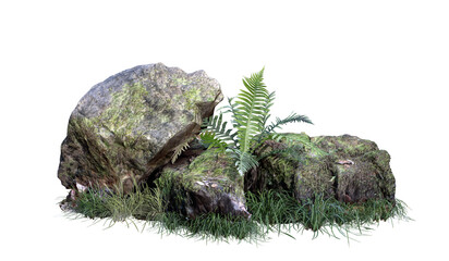 3D rendered a plant that is growing out of rocks on a white background with clipping path