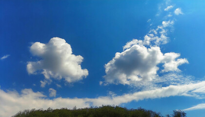 Cumulus Artistry in the Beautiful Sky