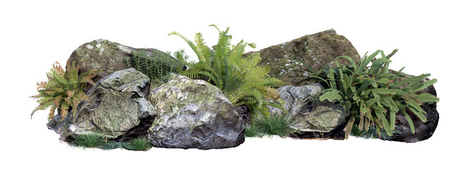 3D render a group of rocks with tropical garden  with on a white background With clipping path.