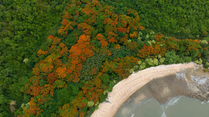Aerial Beautiful Sea sand beach. Landscape of paradise tropical island beach, beach landscape. Beautiful seascape over the sea beach.