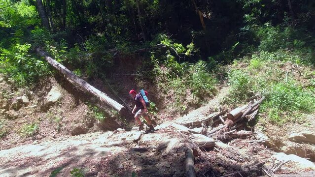 Male backpacker with bedroll emerges from dark jungle into clearing