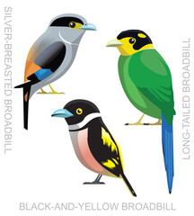 Cute Bird Broadbill Set Cartoon Vector