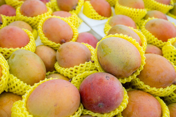 Stack of mango sell in supermarket