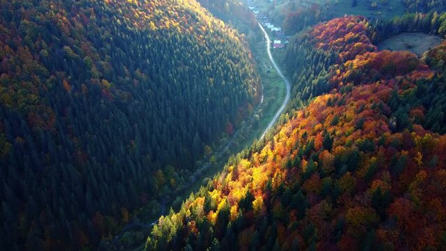 An aerial view of a mountain road in a beautiful forest on an autumn morning.Road in a forest