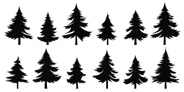 Stylized trees, Christmas tree, isolated on white background, vector design