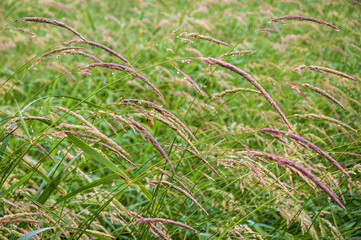 Jamestown Audubon Center and Sanctuary