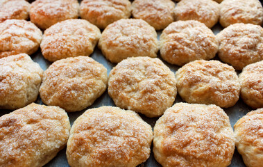 Homemade pastries on a baking sheet close-up. Dough cakes sprinkled with sugar