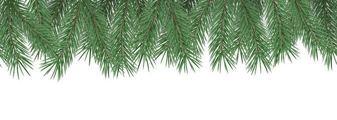 Fir branches on transparent background. Decorative christmas pattern or frame. Seamless PNG.
