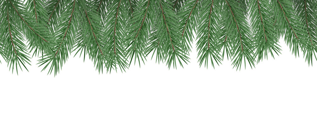 Fir branches on transparent background. Decorative christmas pattern or frame. Seamless PNG.
