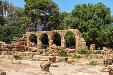 Fototapeta na wymiar Ruins of the Roman Archeological Park of Tipaza, Tipasa. Site of the Christian church with the famous Roman arches.