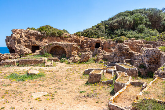 Ruins of the Roman Archeological Park of Tipaza, Tipasa, Algeria. Tombs in the circular mausoleum with the Mediterranean sea in the background. Maritime spring flowers.