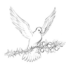 Pencil drawing. The Holy Spirit in the form of a dove turns a thorn tree into an olive branch