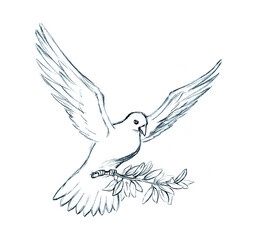 Pencil drawing. The Holy Spirit in the form of a dove turns a thorn tree into an olive branch - obrazy, fototapety, plakaty