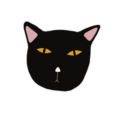 Obraz premium Black Cat