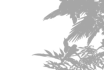 背景イラスト_木漏れ日