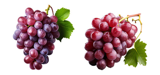 Set of Grapes PNG. Bunch of grapes with leaf isolated PNG. Purple ripe grapes flat lay PNG. Grapes for wine production PNG