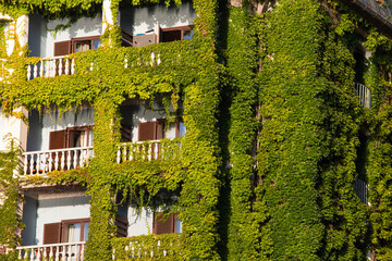 Fototapeta premium Sustainable green building. Eco-friendly building.