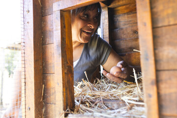 Happy senior biracial woman picking eggs in henhouse