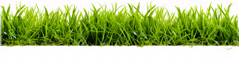 Obraz premium A piece of green lawn on a white background.