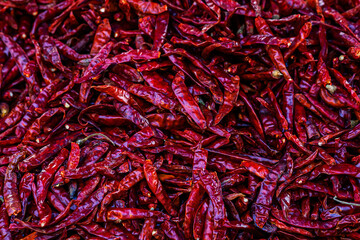 Fototapeta premium red chilli peppers dry hot chilli background red dry chilli.