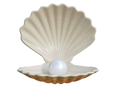 Pearl inside seashell 3d rendering
