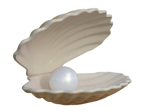 Pearl inside seashell 3d rendering