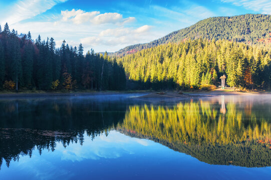 spruce forest reflection on the water surface of a lake. mountainous landscape in autumn. bright sunny weather with fluffy clouds on the sky