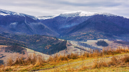 countryside landscape with snow capped tops in the distance. gloomy scenery of borzhava ridge with overcast sky in late autumn