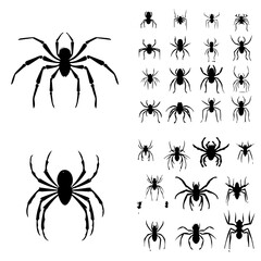 set of spider