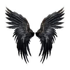 black angel wings isolated on transparent background,transparency 