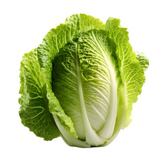 Fototapeta premium cabbage isolated on white background